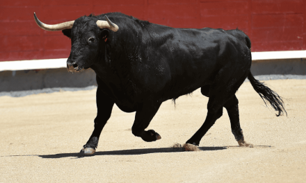 VENTA DE ABONOS TOROS